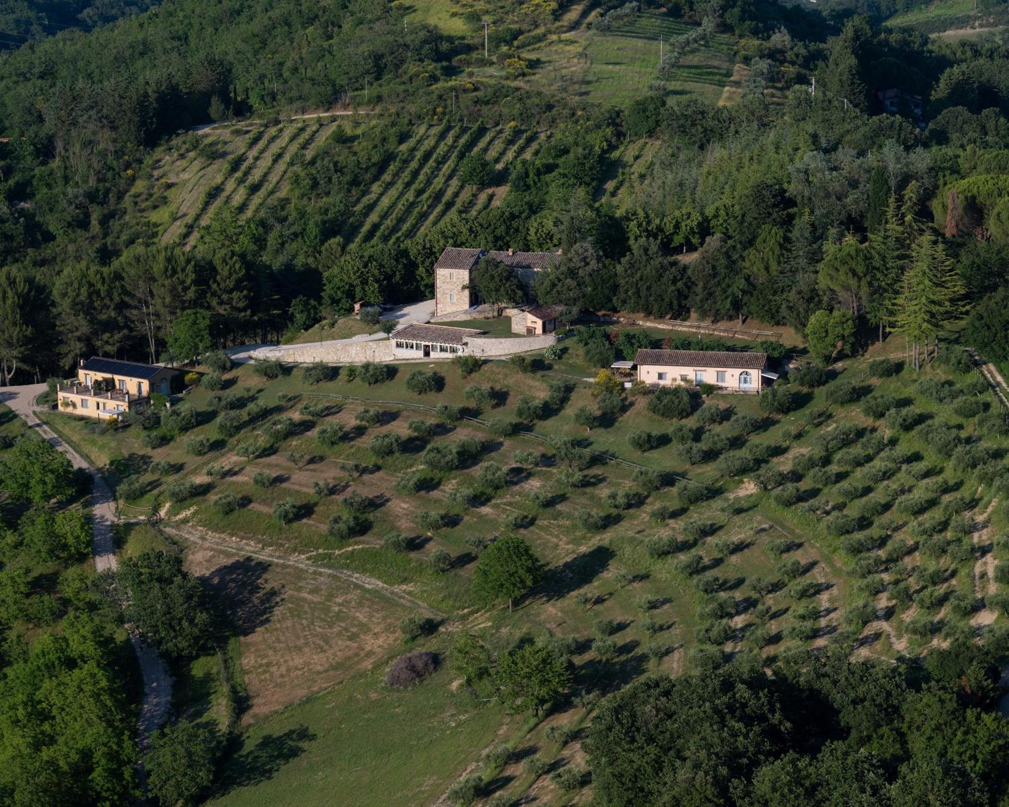 Agriturismo La Fonte Perugia Exterior photo